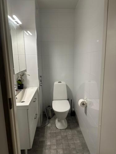 Un baño blanco con inodoro y lavabo. en Hostel400Kokkola Neliö Saunalla, en Kokkola