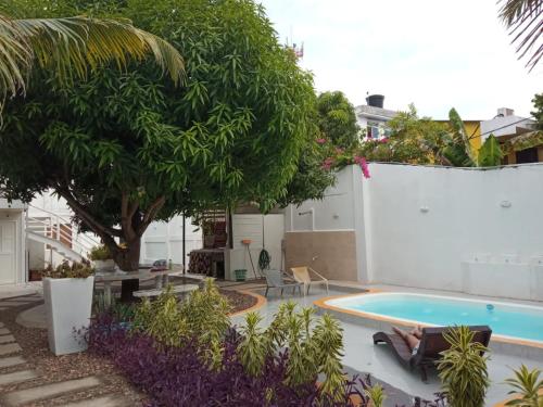 a backyard with a swimming pool and trees and plants at CABAÑA EL ARBOL CARTAGENA in Cartagena de Indias