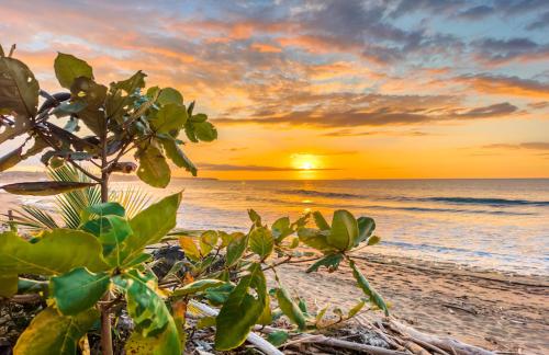 Gallery image of Eco Resort Condos in Aguada