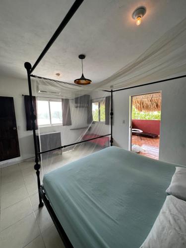 Gallery image of Black Jaguar Hostel in Bacalar