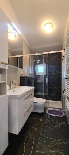 a bathroom with a sink and a toilet and a shower at Apartments Hvaranin in Stari Grad