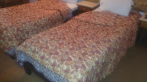 a white cat sitting on top of two beds at Salvatore Room With Breakfast-Tanta City in Tanta