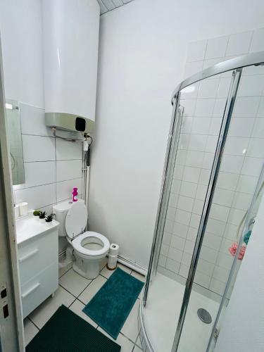 La salle de bains est pourvue de toilettes et d'une douche en verre. dans l'établissement Studio cosy proche de Paris, à Choisy-le-Roi