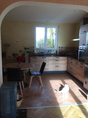 um gato deitado no chão numa cozinha em Ravissante petite suite em Colmar