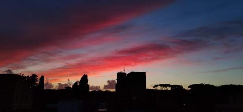 Suite del Collezionista