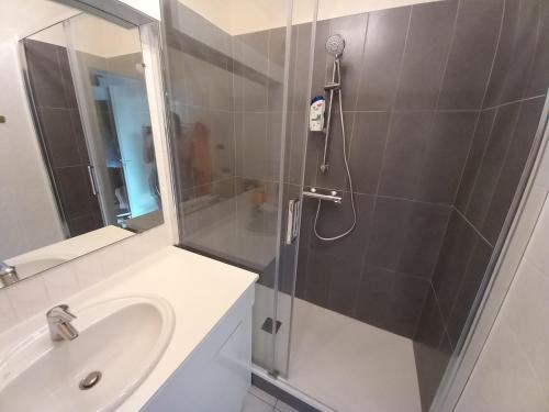 La salle de bains est pourvue d'une douche et d'un lavabo. dans l'établissement Appartement Liza 2 pièces Vue Mer à Cabourg, à Cabourg