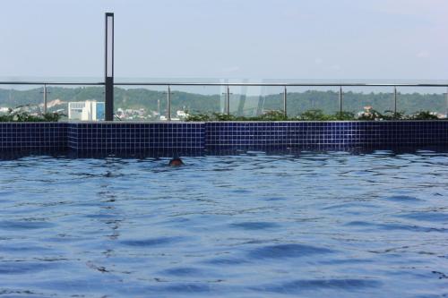 バタム・センターにあるGaleno Pollux Habibieのスイミングプールでの水泳