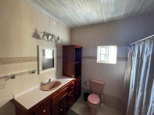 a bathroom with a sink and a toilet and a mirror at Round View Guest House in Port Antonio