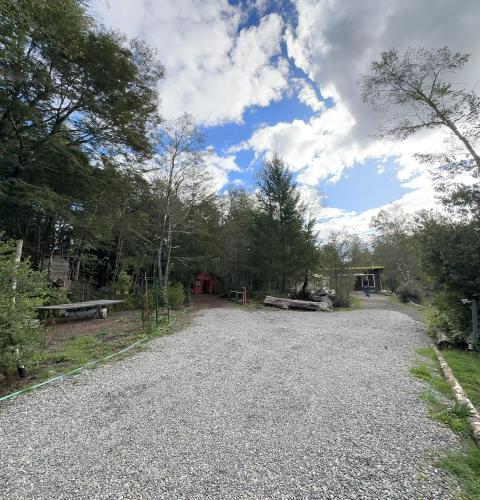 a gravel road in the middle of a forest at Molco Cabins Bosque in Pucón