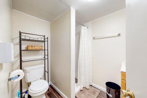a bathroom with a toilet and a shower at Addies Nest in Sevierville