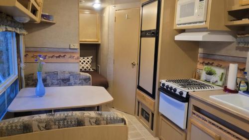 a small kitchen with a sink and a stove at RV with Rocky Mountains View in McBride