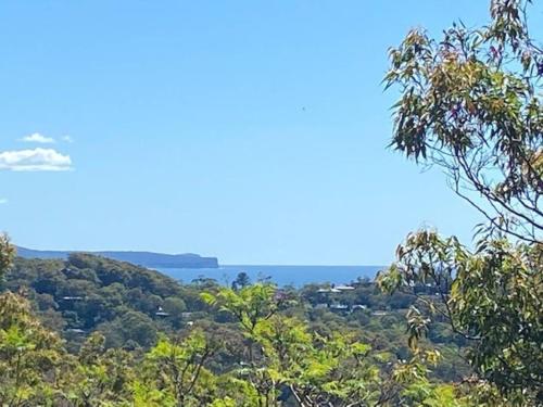 a view from the top of a hill with trees at Treetop coastal getaway in Avalon Beach in Avalon