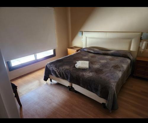 Schlafzimmer mit einem Bett und einem Fenster in der Unterkunft Casa nueva centrica in San Rafael