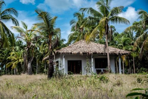Anahata Resort – Photos 5
