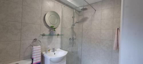 łazienka z prysznicem, umywalką i lustrem w obiekcie Frontview Cottage - Sleeps 6 w mieście Ballynahinch