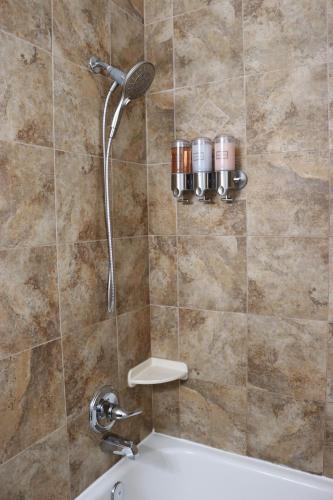 a shower with a shower head in a bathroom at Hidden Ruby-Apartment with Kitchen and Laundry in Lakeland