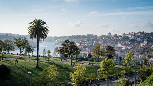 a city with a palm tree in a park at InterContinental Porto - Palacio das Cardosas by IHG in Porto
