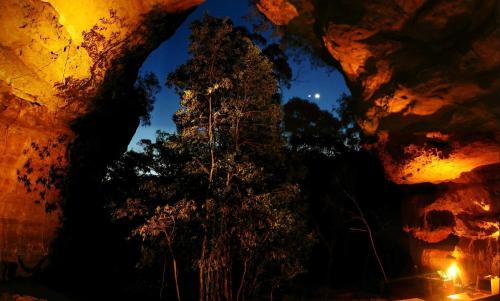 a view of a tree in a cave at night at Hatter's Hideout Cave and Lodge in Newnes Junction