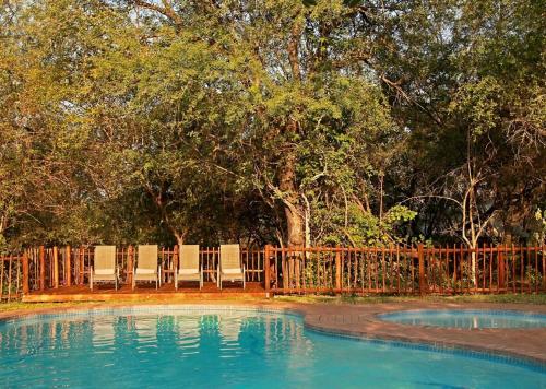 two chairs sitting next to a pool of water at Luxury Lodge on Sabie River at Kruger Gate! in Huntingdon