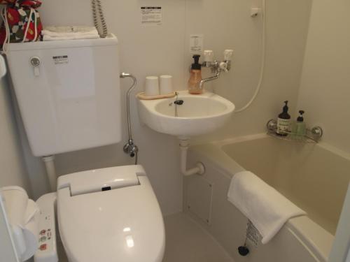 a small bathroom with a toilet and a sink at Senkei Plaza in Hakone