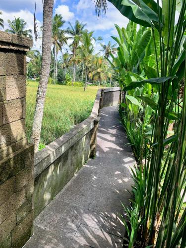 a path in a park with palm trees and a field at The Banana’s Kumbe Villa in Tampaksiring