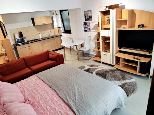 een woonkamer met een bank en een flatscreen-tv bij Studioul de Vis in Braşov