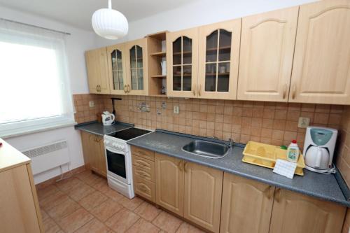 a kitchen with wooden cabinets and a sink at Penzion Mauritz in Nová Pec