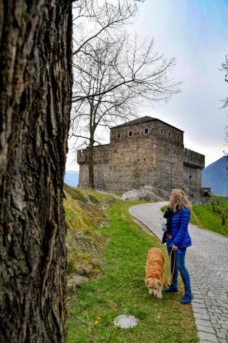 a woman with a dog in front of a castle at The Window in Bellinzona