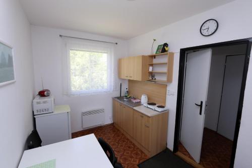 a small kitchen with a sink and a refrigerator at Penzion Mauritz in Nová Pec