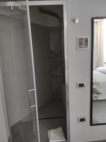 bagno con doccia e porta in vetro di Albergo Piazza Risorgimento a Porto Cesareo