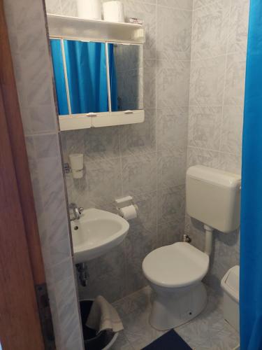 a small bathroom with a toilet and a sink at Apartments Delfin in Posedarje