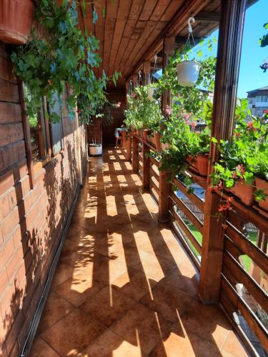 Billede fra billedgalleriet på Pensiunea Cristiana i Curtea de Argeş