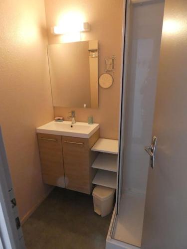 une salle de bain avec un lavabo et un miroir et des toilettes dans l'établissement Studio 4 pers pied des pistes, à Bagnères-de-Bigorre