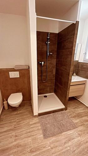 une salle de bain avec une douche avec des toilettes et un lavabo dans l'établissement Appartement T2 centre village, à Cucuron