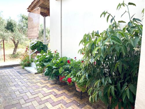 Κήπος έξω από το my Green Villa