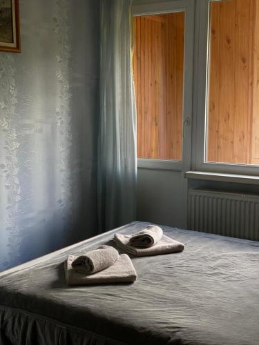 塔塔里夫的住宿－Садиба Диво Квітка，两条毛巾坐在房间里的床边