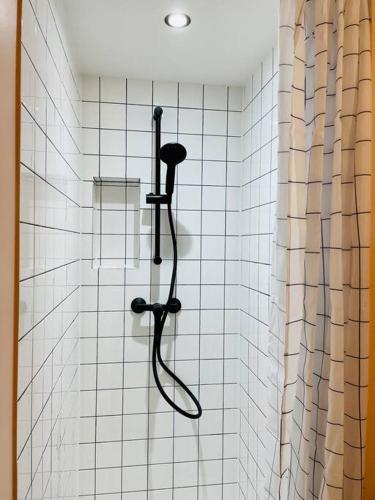 une douche avec pommeau de douche dans une salle de bain dans l'établissement Warm and cosy Loft in paris with a private outdoor, à Paris