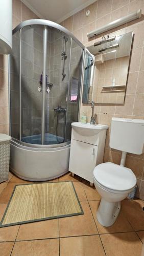 a bathroom with a shower and a toilet and a sink at City Center Luxury Apartment in Subotica