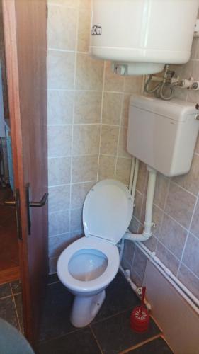 Mala RekaにあるMountain houseのトイレと洗面台のある小さなバスルーム