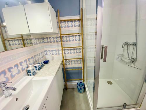 een badkamer met een wastafel en een douche bij Le Centurion 1ére ligne in Le Grau-du-Roi