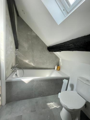 une salle de bain avec toilettes et baignoire dans l'établissement Les Cieux de Bourgogne, à Dijon