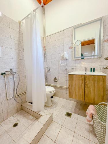 a bathroom with a shower and a toilet and a sink at Island Apartments in Mesolongion