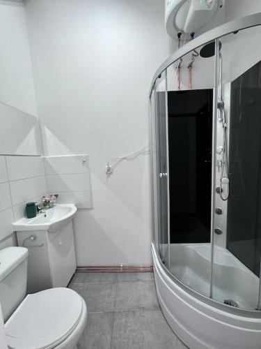 ein Bad mit einer Dusche, einem WC und einem Waschbecken in der Unterkunft Przytulny apartament in Szczecinek