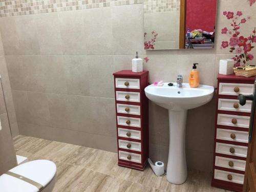 La salle de bains est pourvue d'un lavabo, de toilettes et d'un miroir. dans l'établissement Apatomentos Fortuna Leisure, à Fortuna