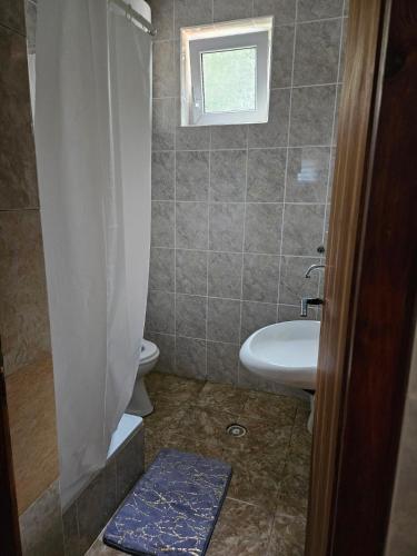 La salle de bains est pourvue d'un lavabo, de toilettes et d'une fenêtre. dans l'établissement Vila Lana, à Bela Crkva