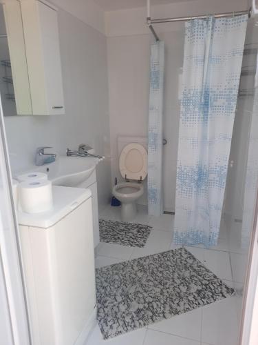 a bathroom with a toilet and a sink and a shower at New Eco bungalow in Portorož