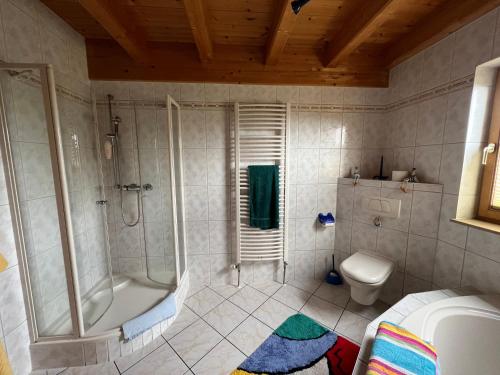 a bathroom with a shower and a toilet at Ferienhaus Fechner in Klipphausen