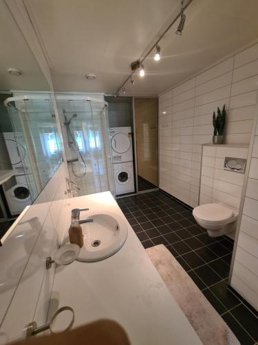 a bathroom with a sink and a toilet at Aurora apartment in Kvaloya Tromso in Tromsø