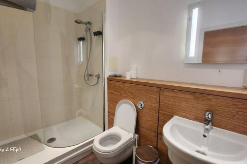 La salle de bains est pourvue d'une douche, de toilettes et d'un lavabo. dans l'établissement Spacious 2 bedroom apartment, à Édimbourg