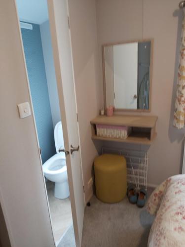 een badkamer met een wastafel, een toilet en een spiegel bij Wood Farm Holiday Park in Charmouth